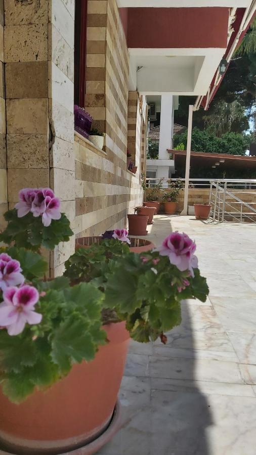 Hotel Erciyes Kuşadası Dış mekan fotoğraf